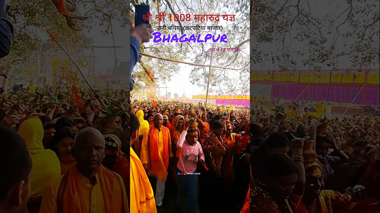श्री श्री 1008 महारुद्र यज्ञ छटपटिया बाजार भागलपुर 🚩 #shorts #viral #trending #bhagalpur
