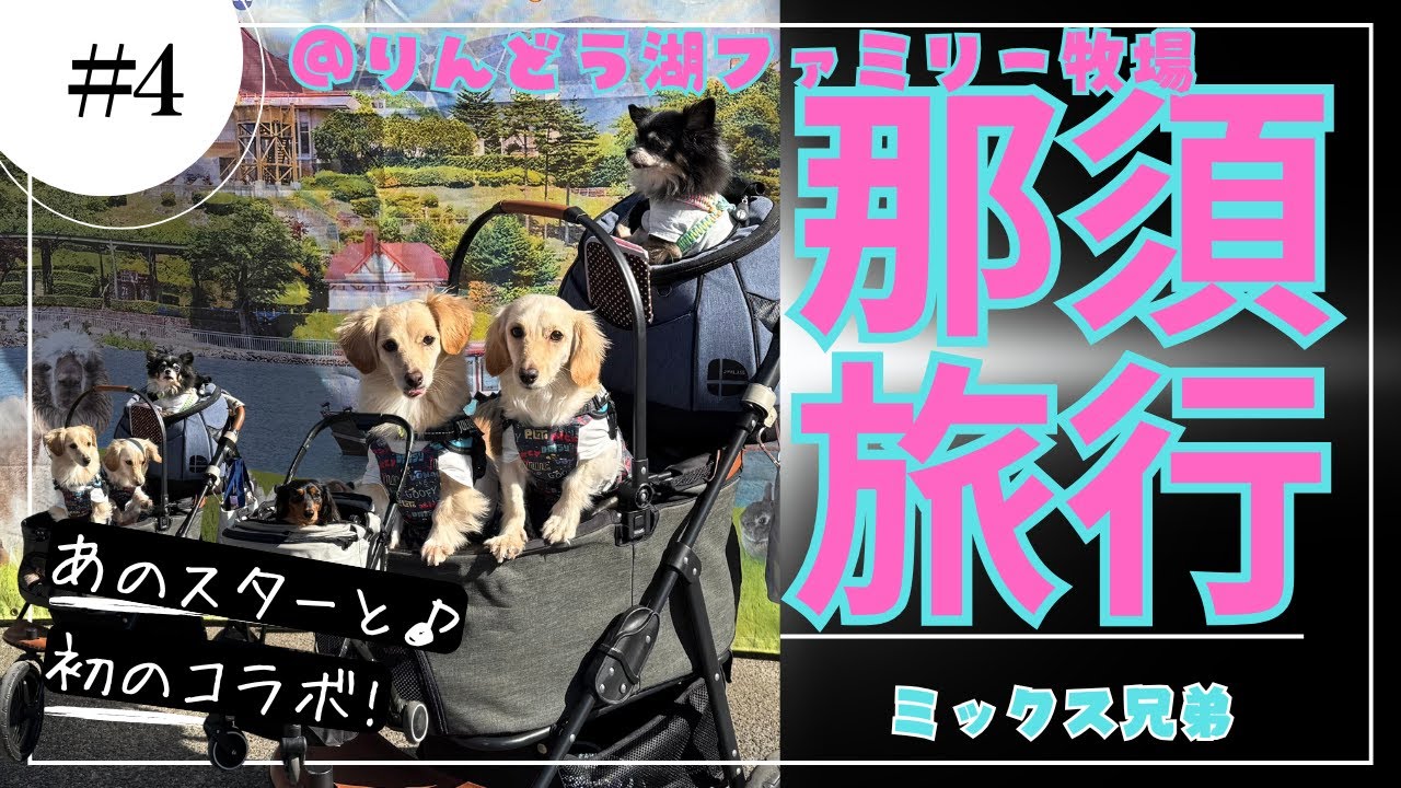 【犬連れ那須旅】りんどう湖ファミリー牧場でみーちゃんファミリーと一緒に大盛り上がり＆ペットと店内でゆっくりご飯【前編】