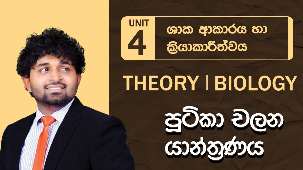 Unit 04 - පූටිකා චලන යාන්ත්‍රණය