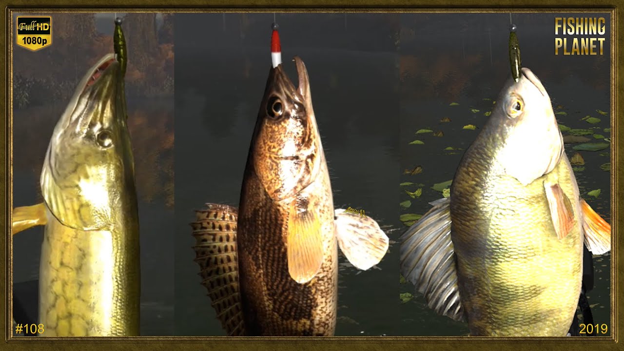FISHING PLANET TUTO POUR DÉBUTANT #108 MAGNIFIQUE PÊCHE SUR LE LAC ÉMERAUDE A NEW YORK 2019