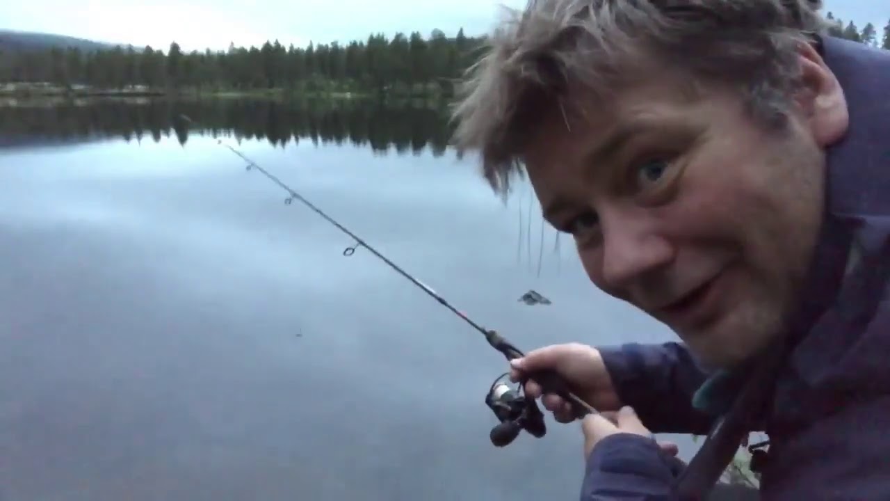 Harvefiske etter ørret
