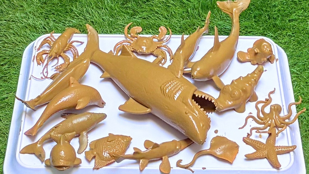 The Fascinating Story of Deadly Sharks, Turtles and Deep Sea Creatures