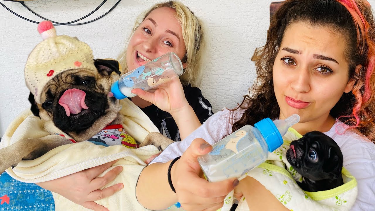 BİR GÜN BOYUNCA KÖPEĞİME BEBEK GİBİ BAKTIM !! KOMİK VİDEO aslı ca