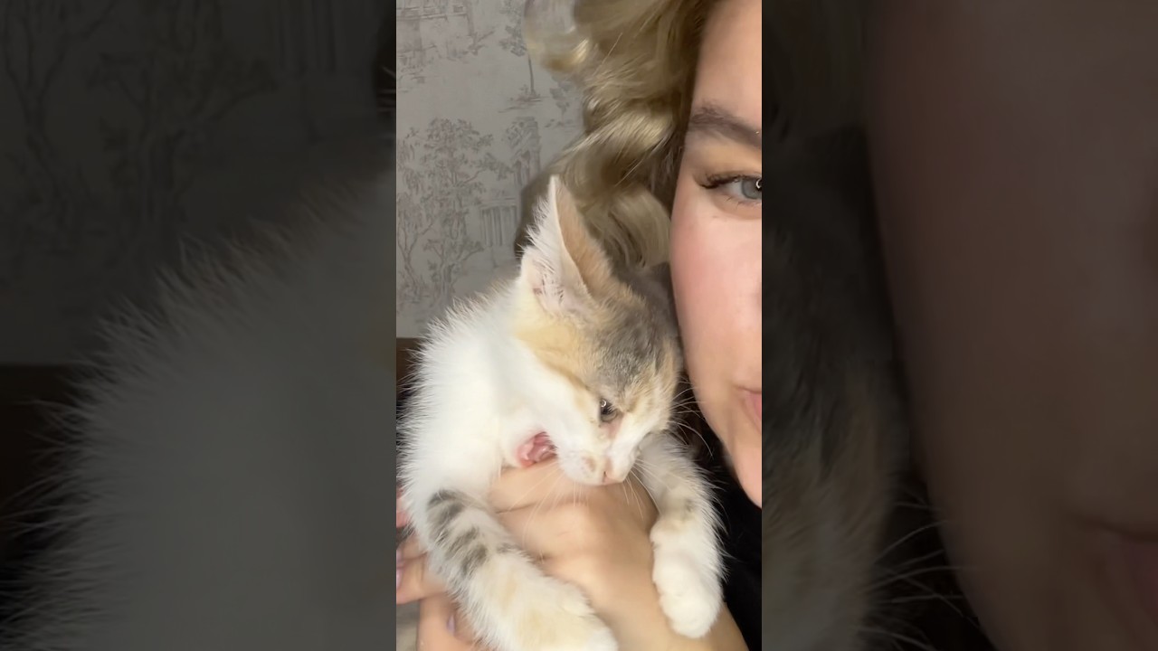 2 часть истории нашей булки ❤️ 