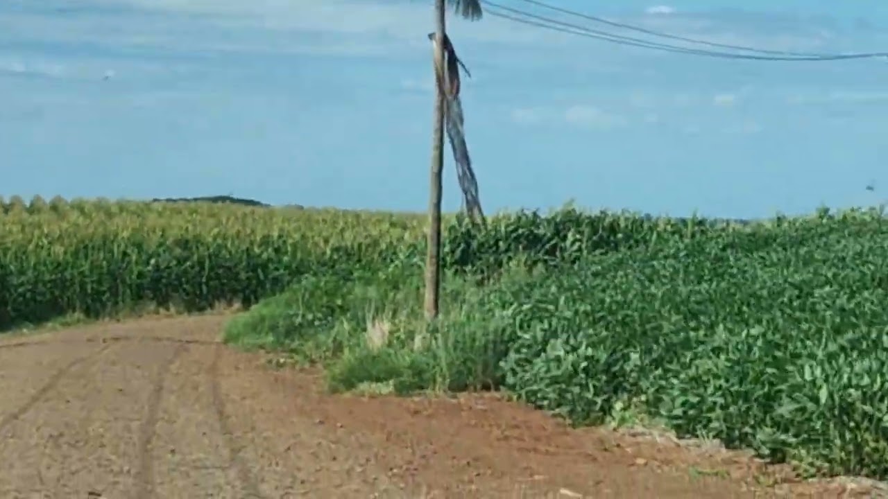 VAMOS CONHECER ONDE EU MORO O CAMINHO QUE FAÇO 