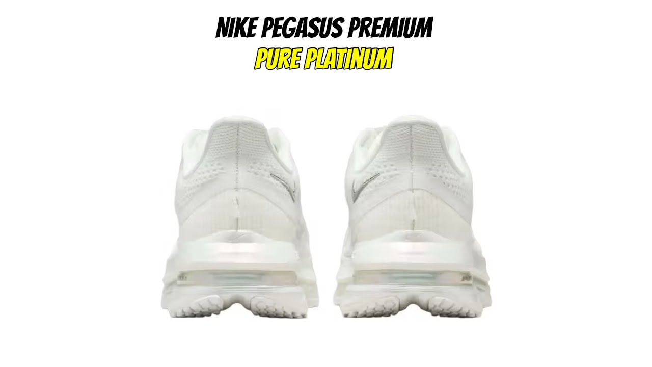 Nike Pegasus Premium Pure Platinum