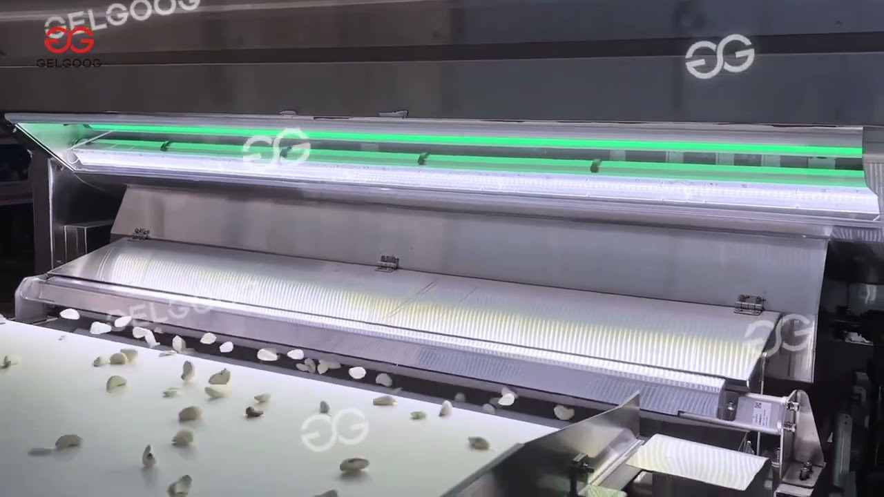 NEW Belt-type #garlic  Color Sorter grain Colour Sorting Machine Glass Belt Color Sorter