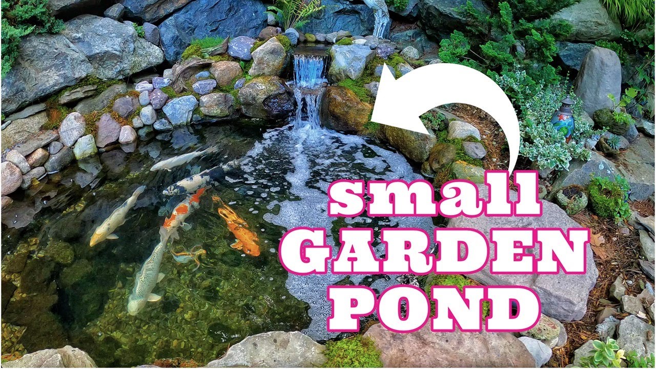 Small GARDEN POND & Waterfall | Tranquility Water Garden