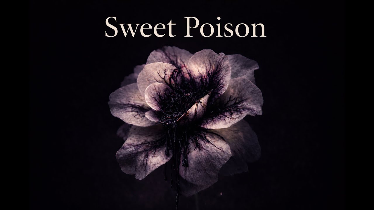 Damn Mercy – Sweet Poison (Official Lyric Video)