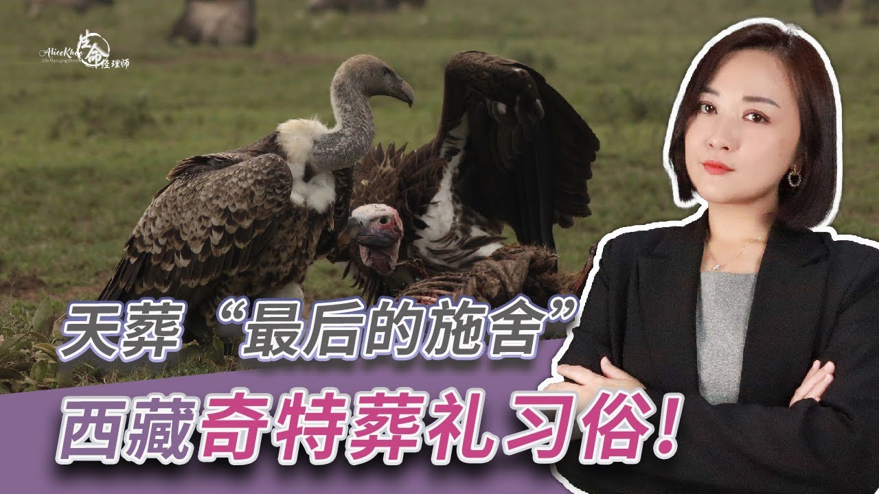 EP 116： “最后的施舍”，将遗体喂食给秃鹫！