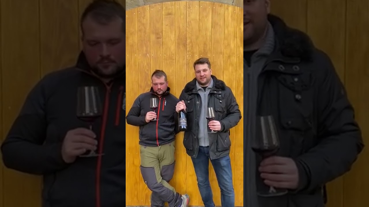 2020 Spätburgunder Ingelheim, Ortswein, Weingut Baum Barth, Ingelheim, Rheinhessen