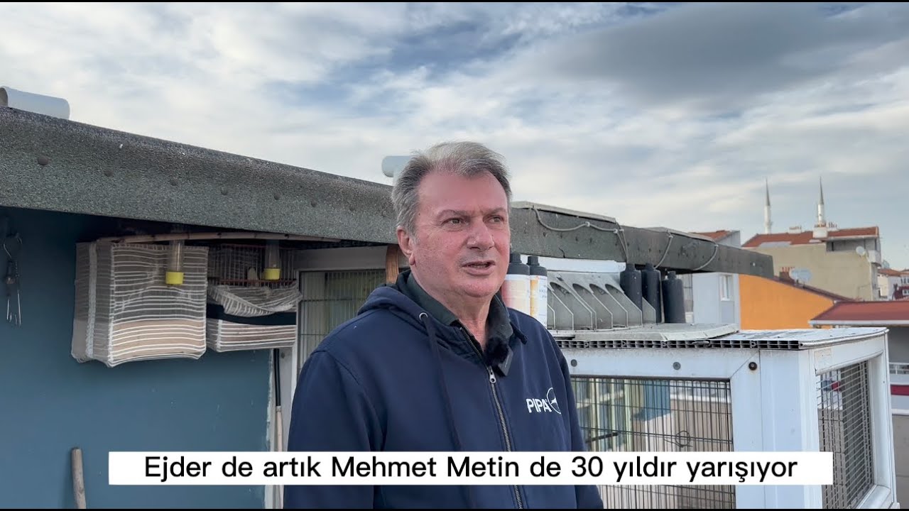 2023 Posta Güvercini Yarış Sezonu 2 Hafta Kala Kümesimin Güncel Durumu 14.04.23 Mehmet METİN