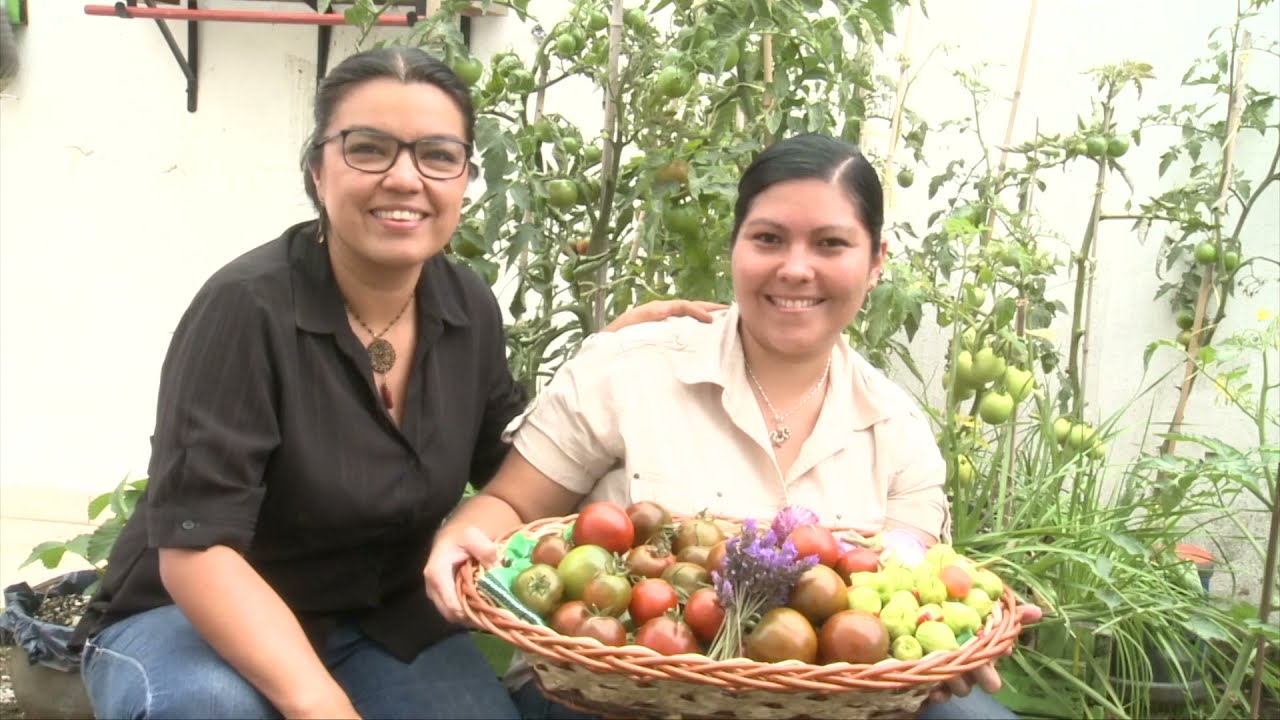 Teasser, Tlayolohtli, Coraz&oacute;n de Tierra