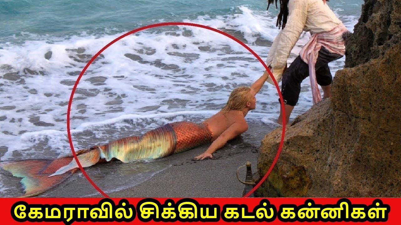 கேமராவில் சிக்கிய கடல் கன்னிகள் | Mermaids Caught in Real Life Tamil | Vinotha Unmaigal