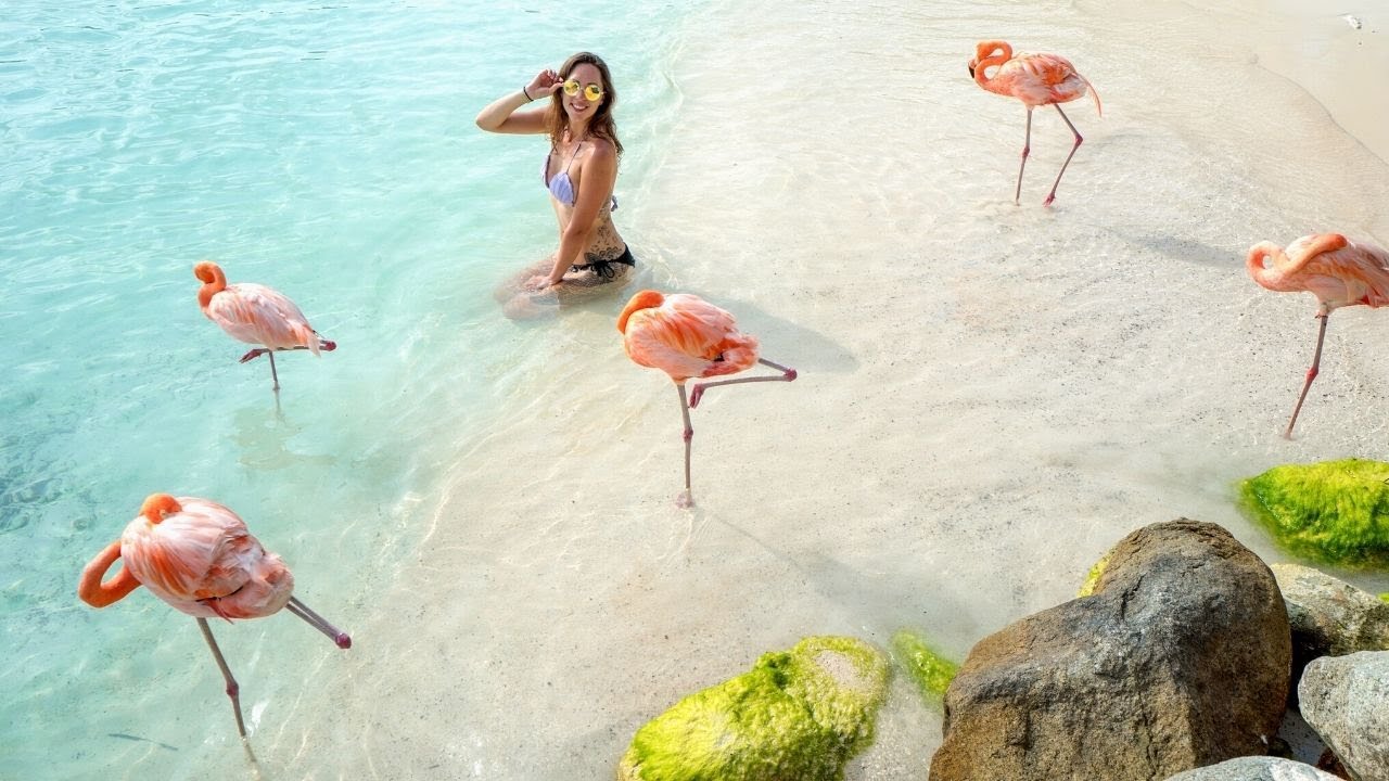 How to Plan A Trip LIKE A PRO (7 Steps)