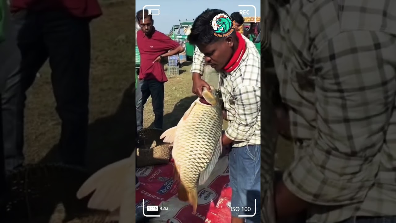 Massive Fish Selling in Local Market!🫵🏻🫵🏻