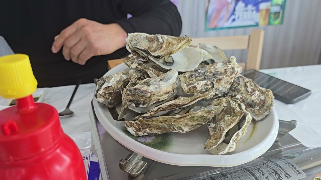 2026년 กินปลาดิบที่เกาหลี