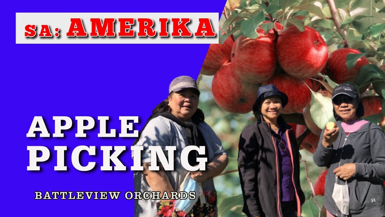 Apple Picking, Battleview Orchards
