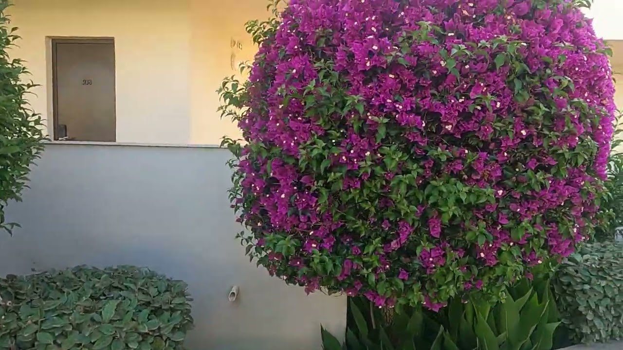 Tui Blue Caravel zante, A walk around the hotel, part 2