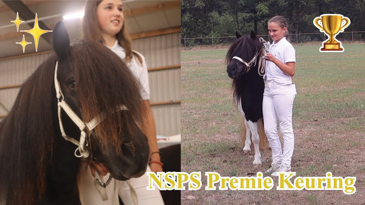KRIJGT NIRVANA EEN PREMIE? NSPS Merriekeuring 2022 Limburg | Vlog #19 | Dwally's Horses