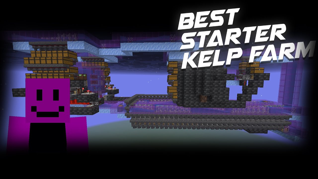 *NEW* Best Beginner Farm For Donut SMP | Beginner Xv1