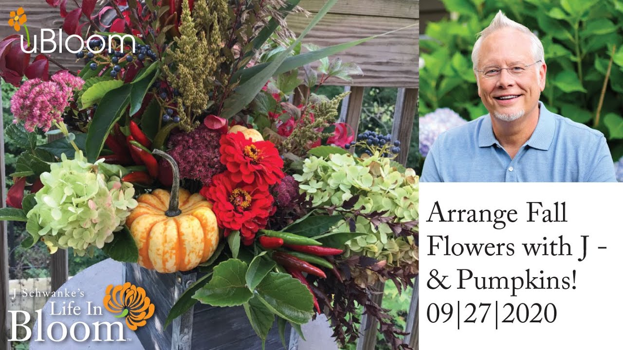 Fall Arrangement with Pumpkins- LIVE with J
