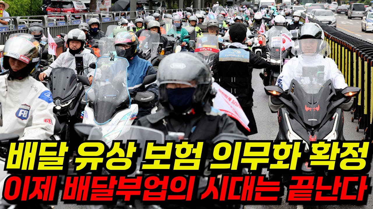 '유상운송보험 의무화 확정' 경쟁자 반토막 예고 l 배달판 살아난다 !