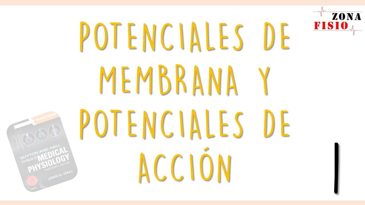FISIOLOGÍA: POTENCIALES DE MEMBRANA Y POTENCIALES DE ACCIÓN / E1 / FÍSICA BÁSICA, NERNST Y GOLDMAN.