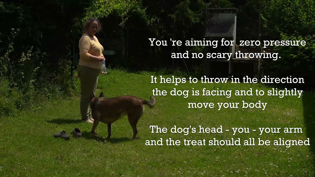 Non threatening treat and retreat