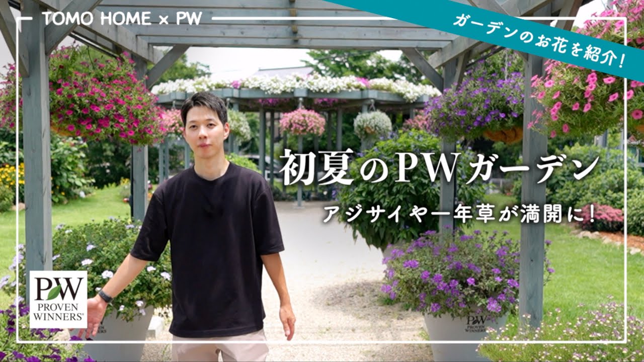 2025初夏のPWガーデン