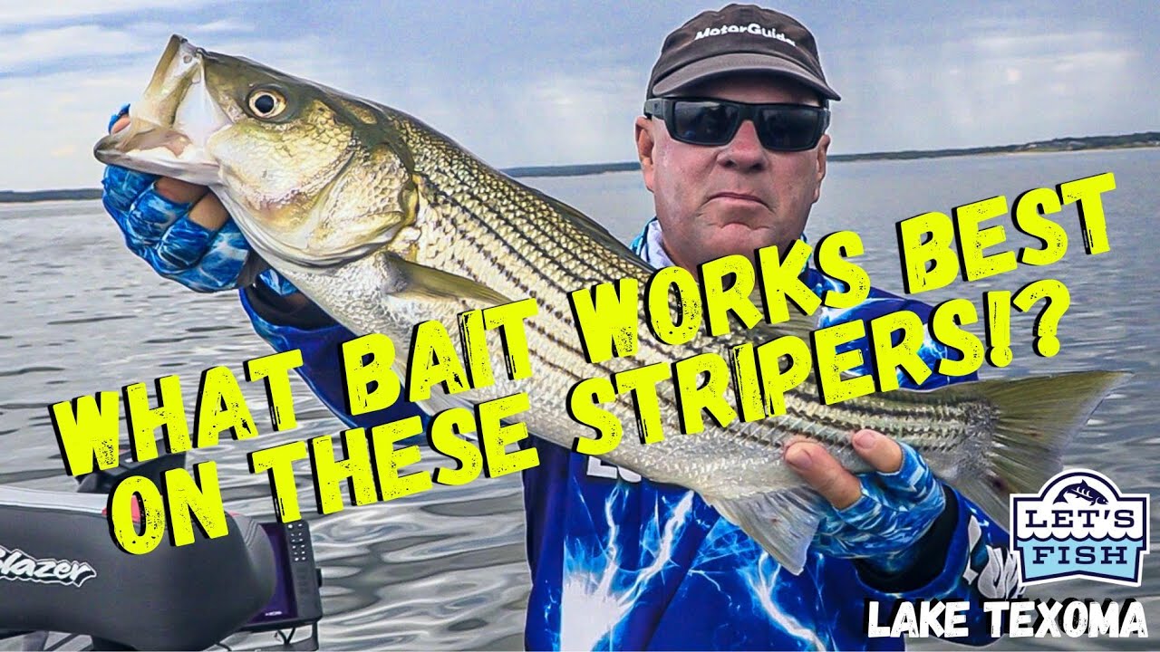 HOW TO LURE A STRIPER OUT OF SCHOOL, CAN YOU DO THIS? #34-2022 SouthEAST
