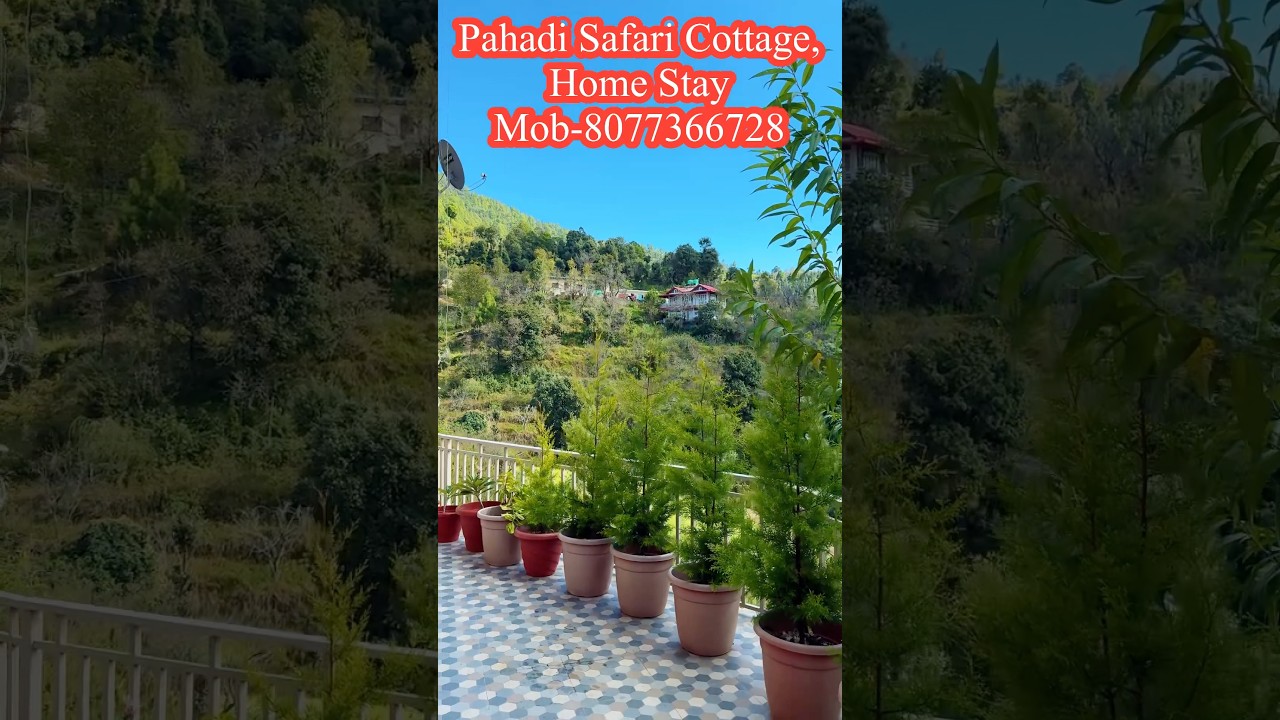 Pahadi Safari Cottage,Mukteshwar #pahadisafaricottage #pahadisafaari #bollywood #music