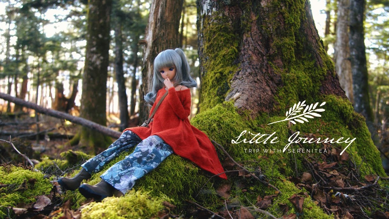 Trip with SMART DOLL  #17 Moss Moss Mountain