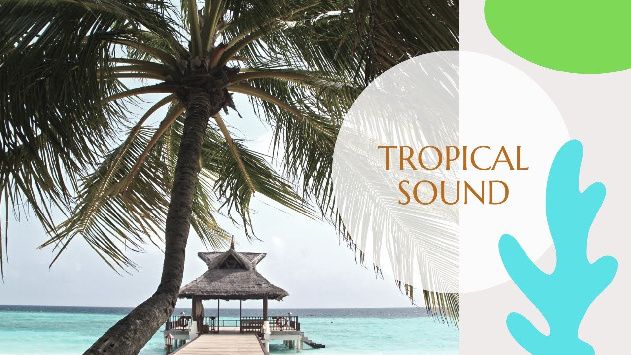 Tropical sound - beautiful music for your injoy (soothing relaxation)