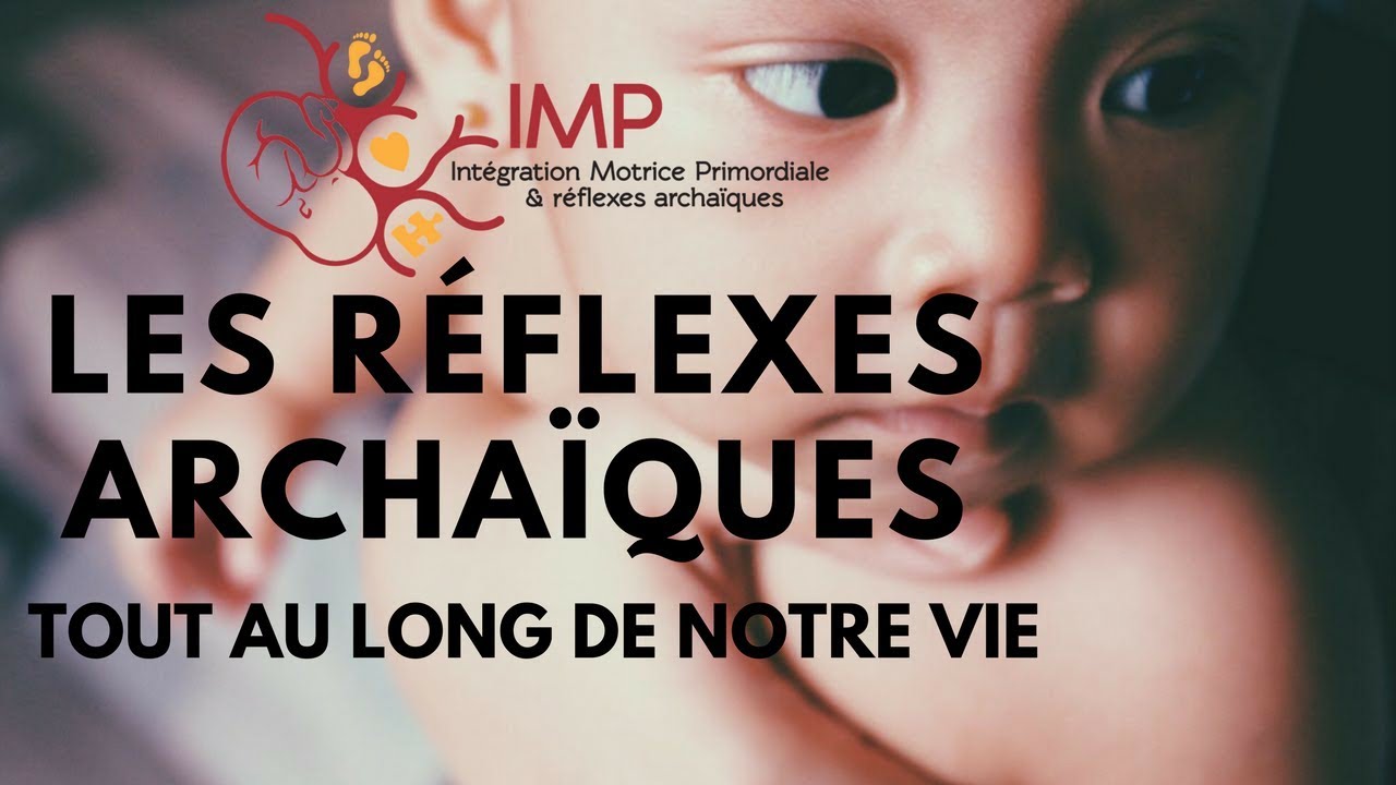 L'importance des réflexes archaïques tout au long de notre vie