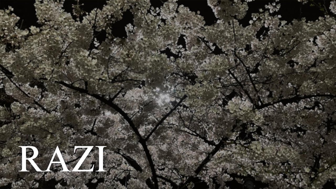 RAZI - Poate că (Official Audio)