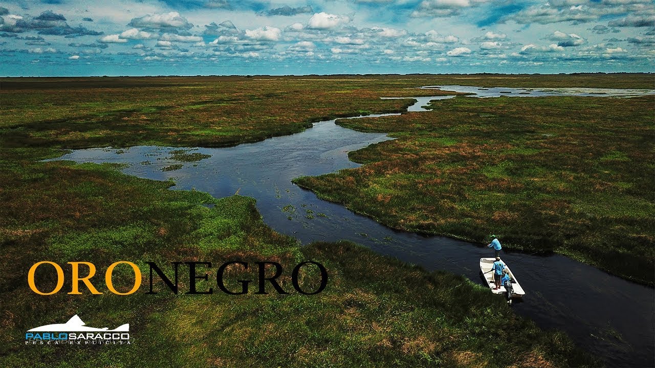 Oro Negro - Dorados en los esteros del Iberá con poppers