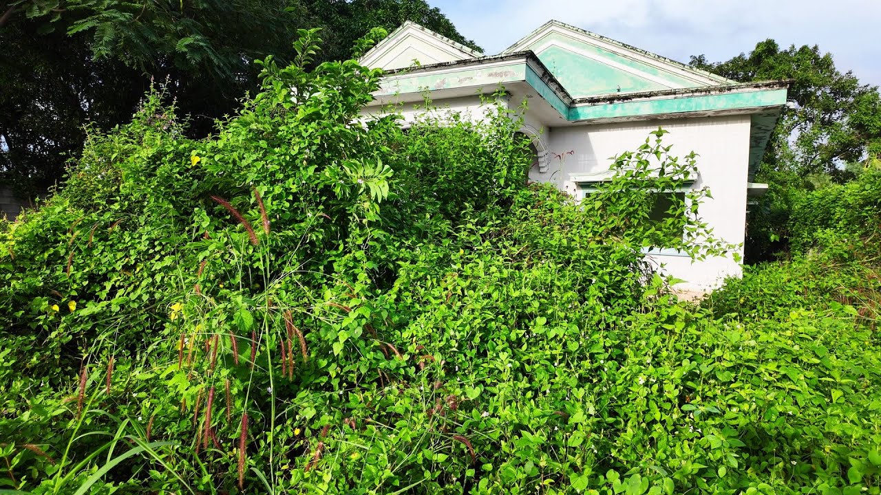 TIME LAPSE - 25 Minutes of Satisfying Revival of an ABANDONED HOUSE 10 Years