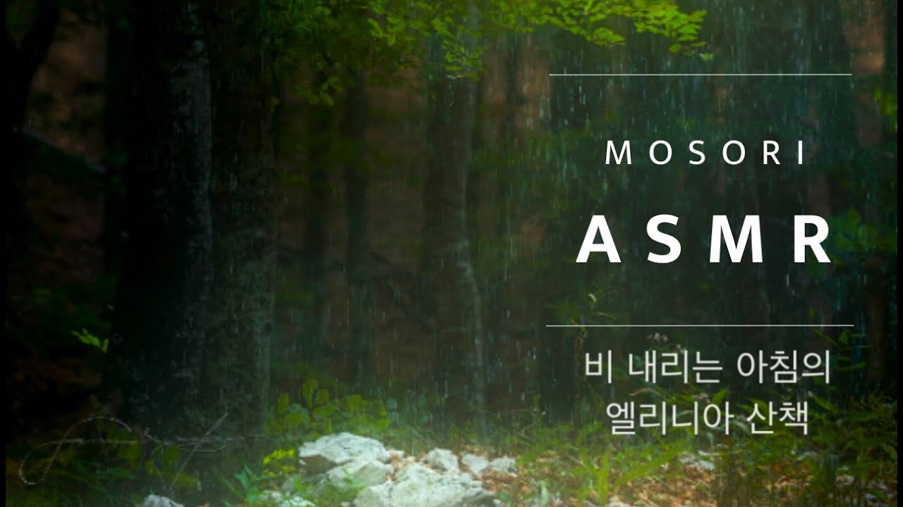 엘리니아 ASMR 1시간 Ver. 메이플스토리ASMR l 비 내리는 아침의 엘리니아 산책하기 l 모소리 MOSORI l MapleStory Ellinia l 입체음향 ASMR