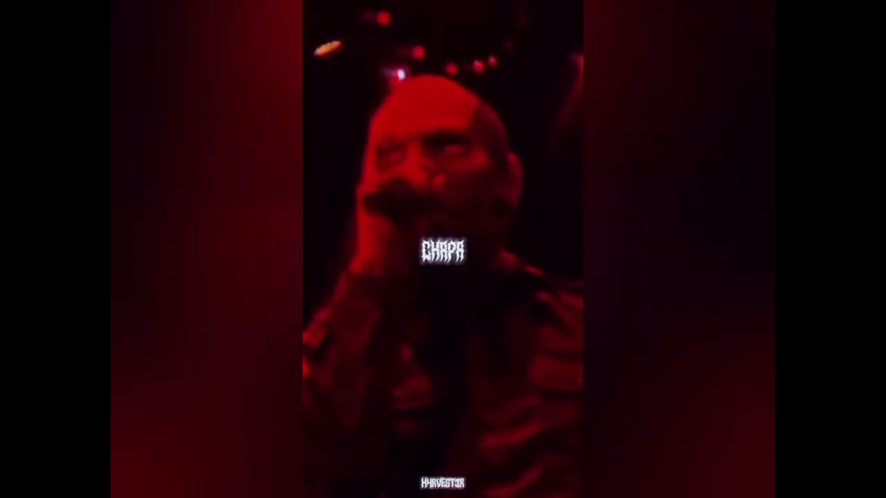 Slipknot - Custer x Chipi Chipi Chapa Chapa (vocal mashup by h4rvest3r)