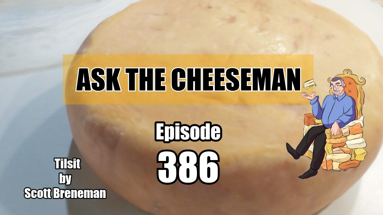 🔴 Ask the Cheeseman #386