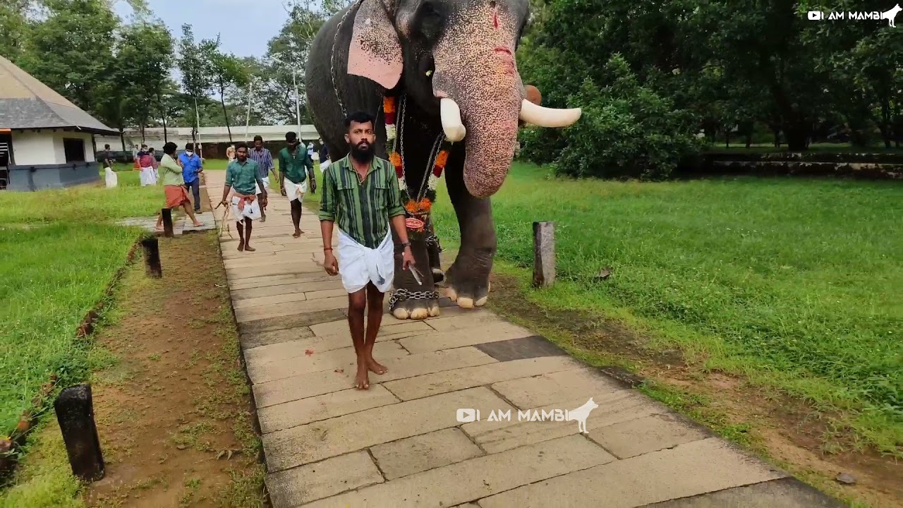 vadakkumnathan aanayoottu 2021