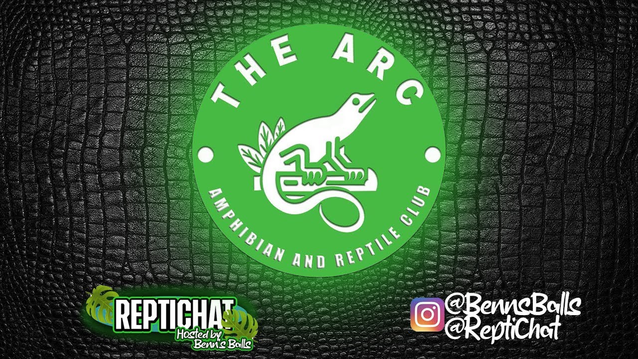 ReptiChat #Ep 17 - ARC Show with MJs Pythons & Python Junkie