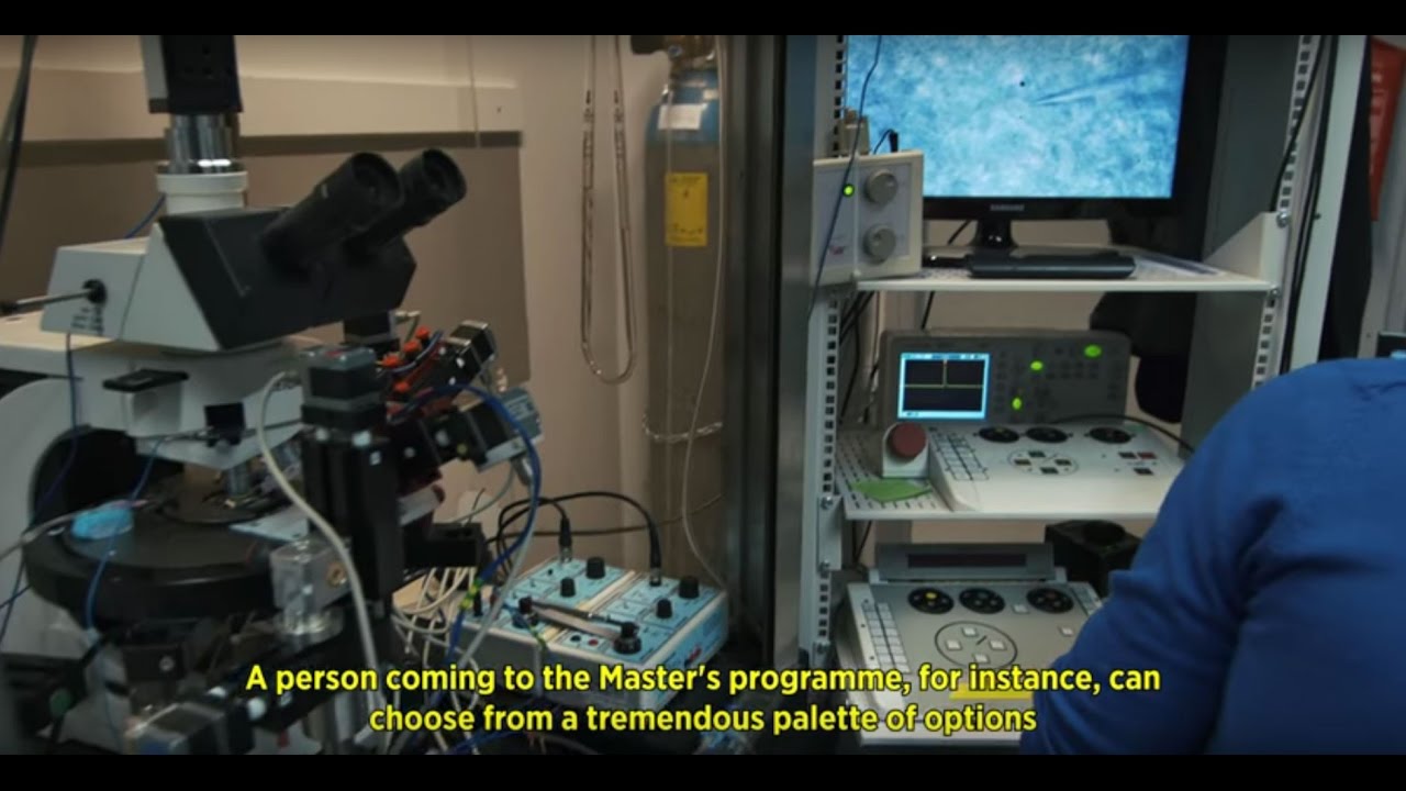 Master’s Programme in Neuroscience | University of Helsinki
