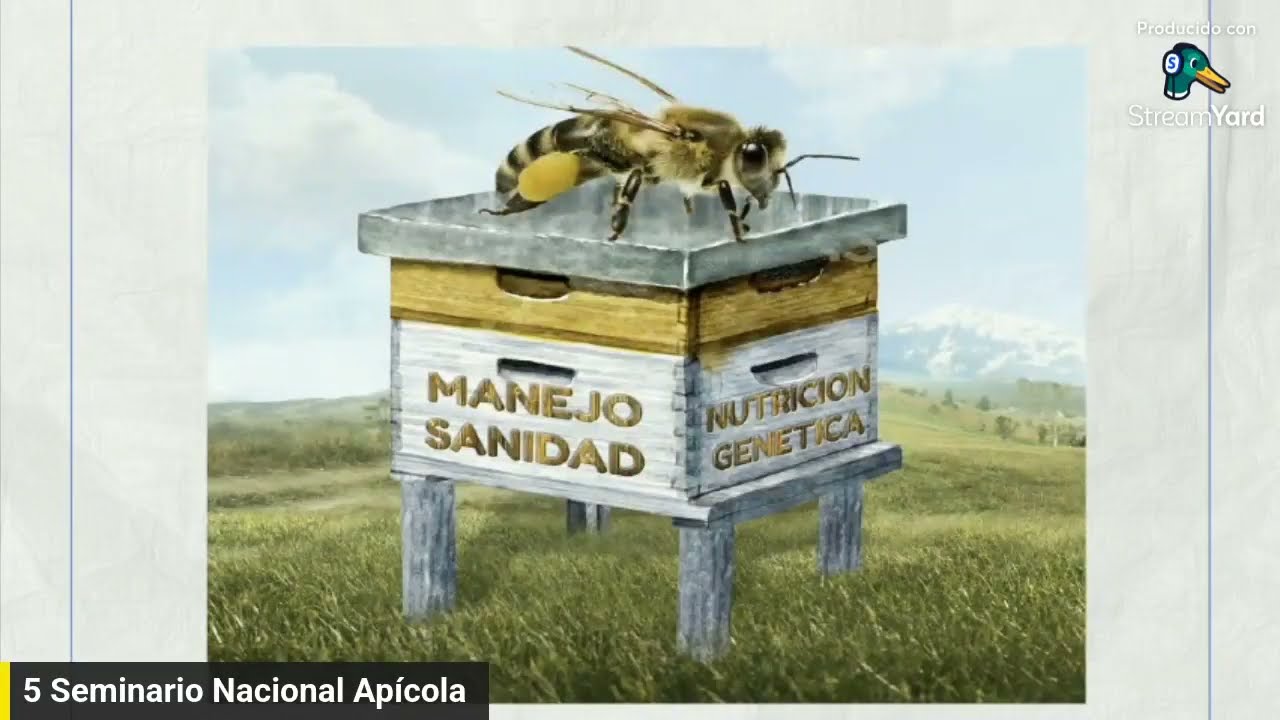 Planificación, Educación, Innovación y Crecimiento de la Apicultura de Peru al Mundo.