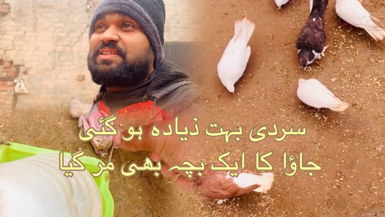 Sardi bahut jyada ho gai Java ka ek baccha bhi Mar Gaya