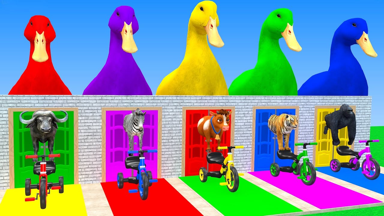 Long Slide Game With Cow Elephant Gorilla Hippopotamus Tiger 3d Animal Game Funny 3d Animals