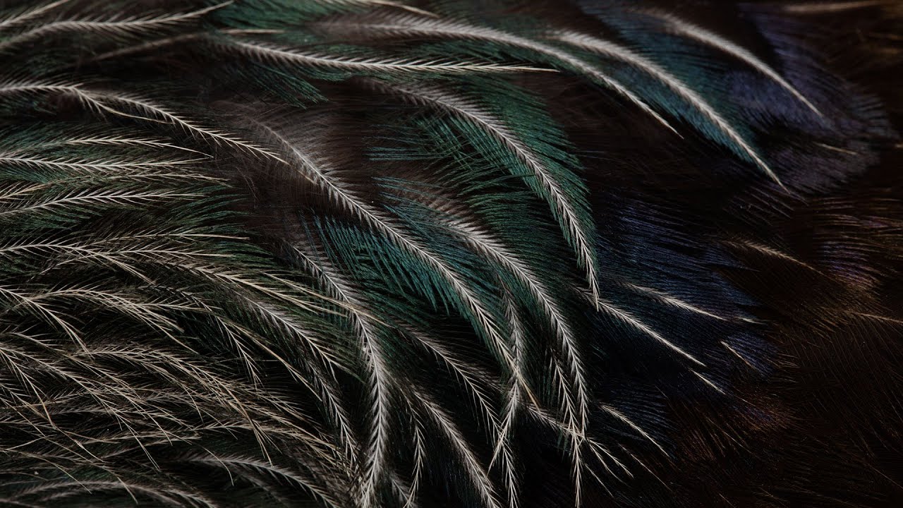 Ngā Kākano: Decolonising and Indigenising Museums (Mon 7 Dec)