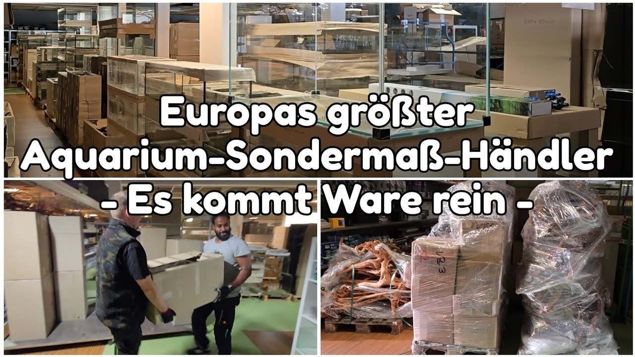 Aquarium- und Hardscape-Anlieferung bei Europas größten Aquarium-Sondermaß-Händler AMAZONASBECKEN.eu