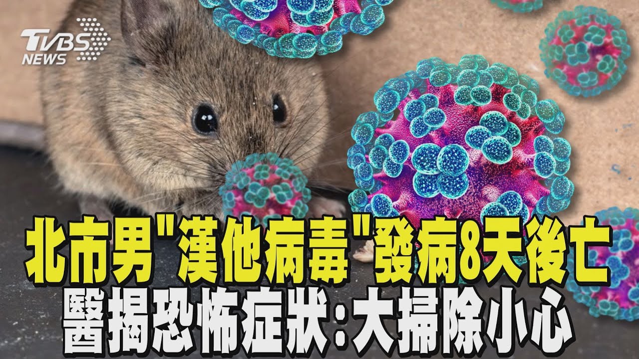 今年首例「漢他病毒」! 北市男發病8天後亡 醫揭恐怖症狀:大掃除小心 ｜TVBS新聞 @TVBSNEWS02